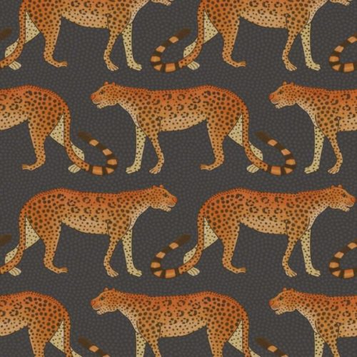 Leopard Walk 109-2008